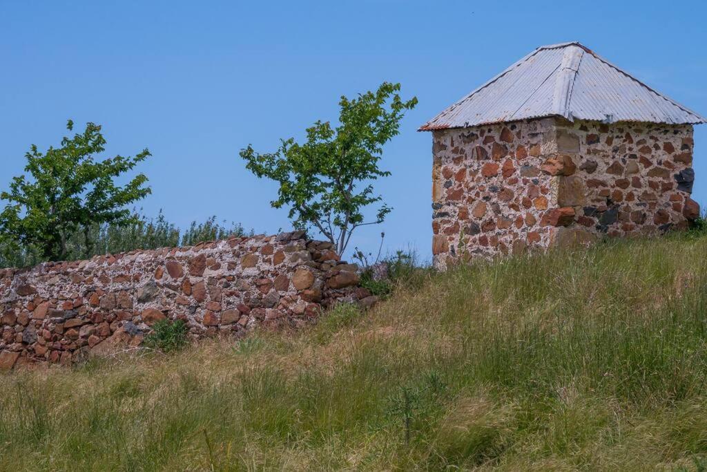 Little Swanport *Newly Relisted* Coach House At Lisdillon Vineyard 빌라 외부 사진
