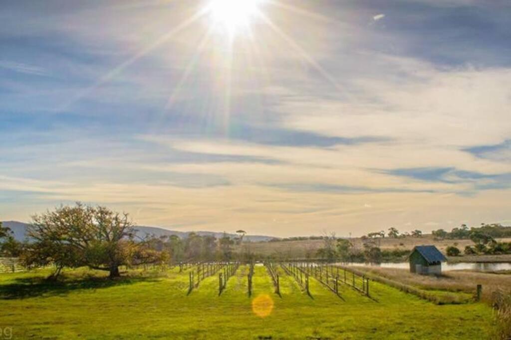 Little Swanport *Newly Relisted* Coach House At Lisdillon Vineyard 빌라 외부 사진